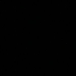 Meet your Posher, Darius